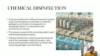 Effluent treatment - oxidation pond, anaerobic digester, chemical disinfection