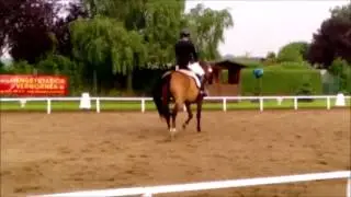 Romeo Mio & Stephi - A-Dressur beim Reitturnier in Ladeburg am 08.07.2017
