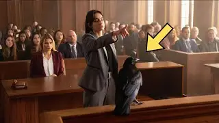 Defense attorney uses a raven to prove that the fraud 
