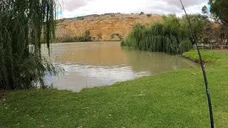 WELCOME TO WALKER FLAT | SOUTH AUSTRALIA | PART 2 | AUSSIE GIRL