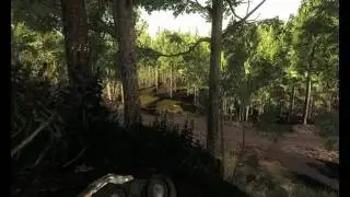 TheHunter - Big Elk Bull