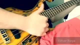 Ritter Basses Demo