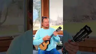 В чем разница между теноровой и баритоновой укулеле?