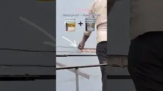 power of asian paint damp proof and apex ultima #shorts #viralshort #ytshorts #short video
