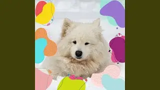 Wonderful Backdrops for Puppy Nostalgia