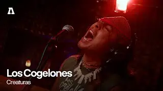 Los Cogelones - Creaturas | Audiotree Live