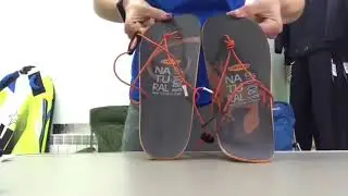lizard rollup