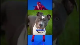 Сигма корова #мем #shortsviral #мемы #shortsvideo #memes #subscribe #жиза #юмор #прикол