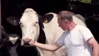 Cheesemaking at Doddington Dairy