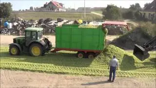 Kukurydza 2013