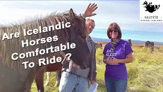 Are The Icelandic Horses Comfortable To Ride ?