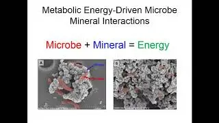 Extracellular electron transfer (EET) in the critical zone: by Eric Roden (August 25, 2017)