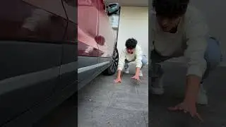 Su PERRO es tranquilo o bien loco? 🐶😂