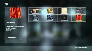Call of Duty Advanced Warfare Possible Secret Camo