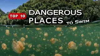 Top 10 Dangerous Places to Swim