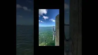 Little Torch Key - Florida Keys - Vacation #shorts #florida #vacation #travel