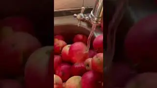 Food processor royal gala rubi apples washing