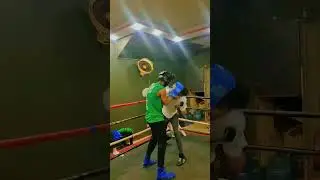 Apollo boxing club couch uk🥊🦅🥊