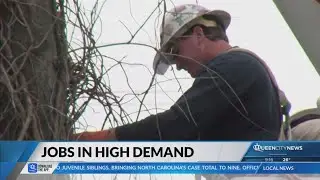 Business Analyst: Here are the jobs in high demand