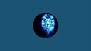 David USA  is live!