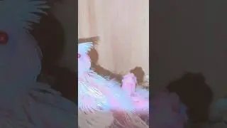 #Cocktail#feed#pinkies