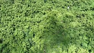 Things To Do, Nanny Falls Portland Jamaica,