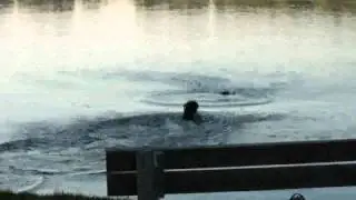 Eixer See - Spa&szlig; mit Frauchen .2 Teil