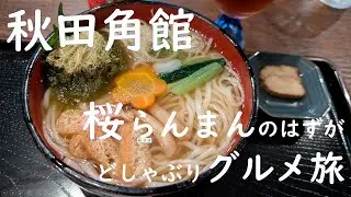 【秋田・角館しだれ桜祭り】🌸好きなこと少しずつ🍃