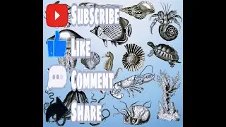 Jelly fish🐠🐋🐟|Jellyfish 101 | Nat Geo Wild|fish🐠🐋🐟|
