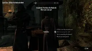 Skyrim Special Edition - My Pet Mudcrab: Purchase The Dwarven Armored Mudcrab from Calcelmo