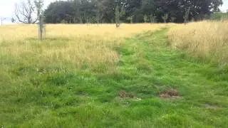 Update on Chorleywood Community Orchard