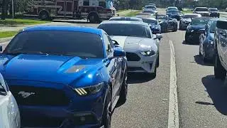 St Pete Ponies - Beach Cruise 2023