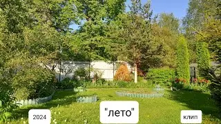 ДёмДёмыч - "ЛЕТО" ( премьера клипа 2024)