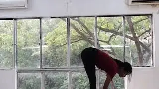 Asana Flow