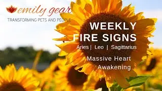 Weekly Fire Signs - Entering Leo Season - Massive Heart Awakening - Channeling