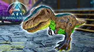 Baby Rex Guide Ark Survival Ascended