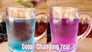 How To Make Butterfly Pea Tea: Relaxing Herbal Drink That Changes Color