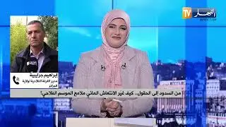 تساقطات معتبرة تعيد الأمل للفلاحين وترفع مؤشرات الإنتاج الزراعي