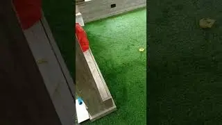 Imported Roll Artificial Grass Carpet,