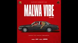 Malva Vibe | Levi | New Punjabi Song 2025