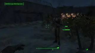 Dogmeat is allergic to mutfruit | Fallout 4