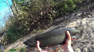 Wisconsin Trout Fishing - Shebs Up North!  10/17-18/2024