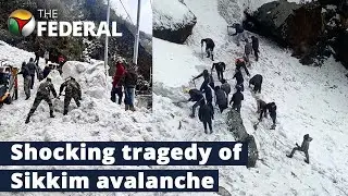 Massive avalanche hits Sikkim, rescue operations for tourists underway | The Federal
