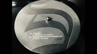 Second Chances (Instrumentality Mix) / Theo Parrish