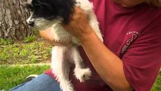 Clarice A473208