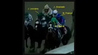 Doc Discusses: The Great White Way Stakes and Reforming the Stewards
