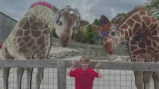 Ark Encounter 2021