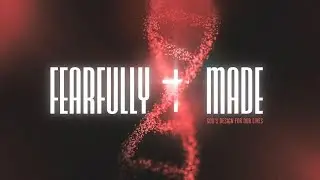 Jesus Be The Name x Who Else || CMC HAVEN Cover