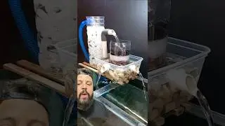 FILTRO CASEIRO PARA AQU&Aacute;RIO