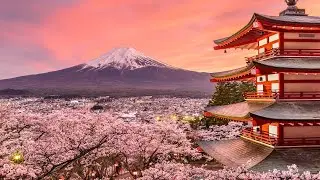 Beautiful Japanese Music &ndash; Cherry Blossoms [2 Hour Version]